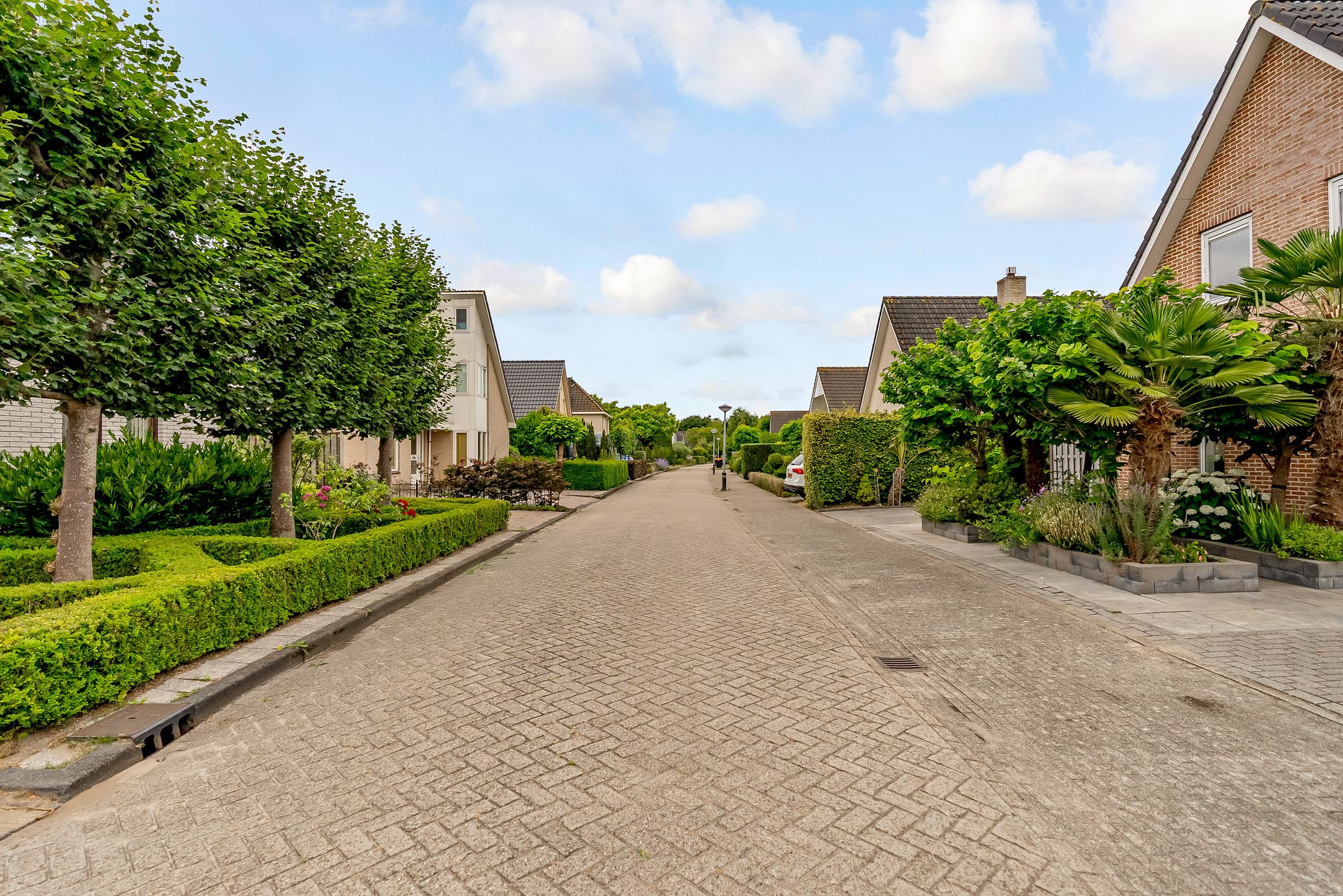 Foto 57 van Beukenhof 217