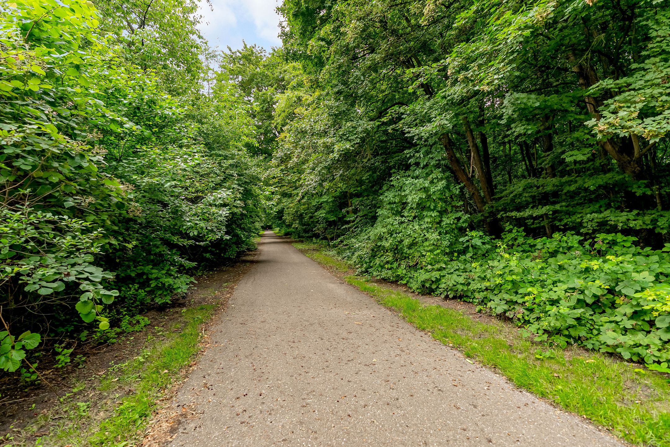 Foto 60 van Beukenhof 217