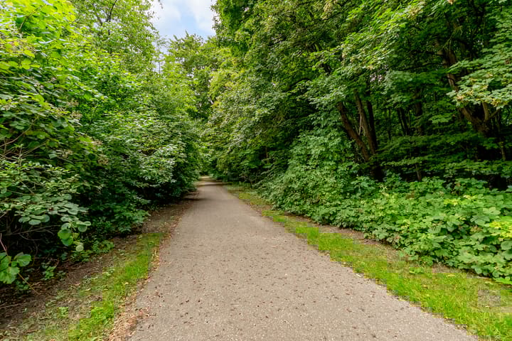 Foto 60 van Beukenhof 217