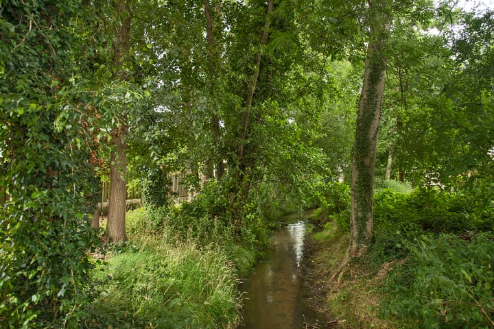 Foto 28 van Lankheethoek 33