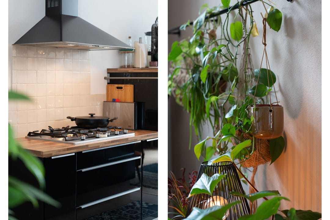 Foto 13 van Haagdijk 146