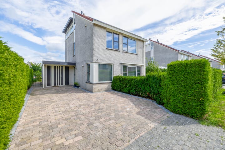 Foto 5 van Steenloper 41