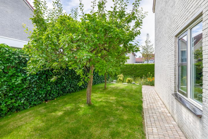 Foto 37 van Steenloper 41