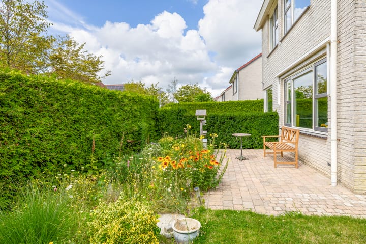 Foto 38 van Steenloper 41