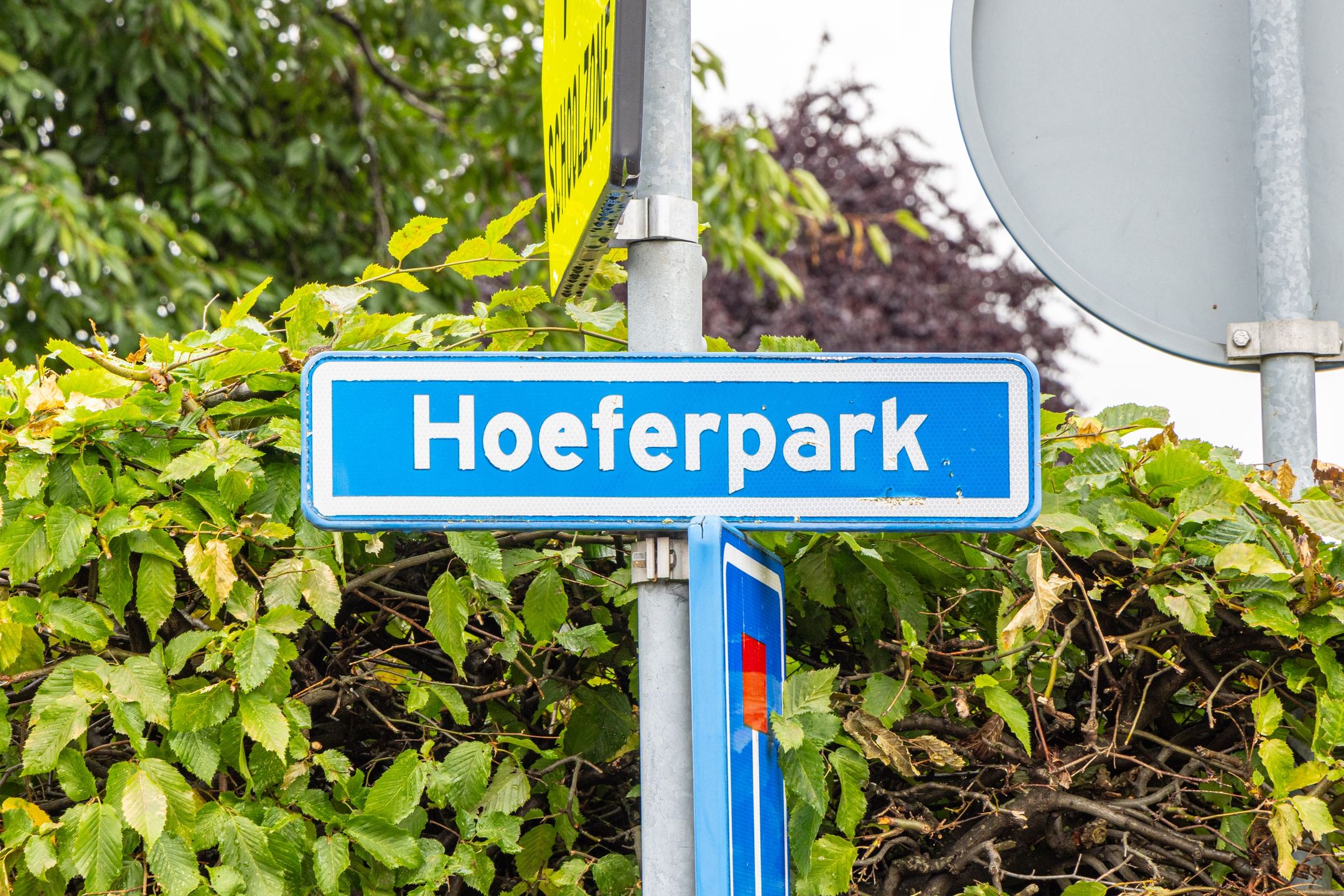 Photo 3 of Hoeferpark 28