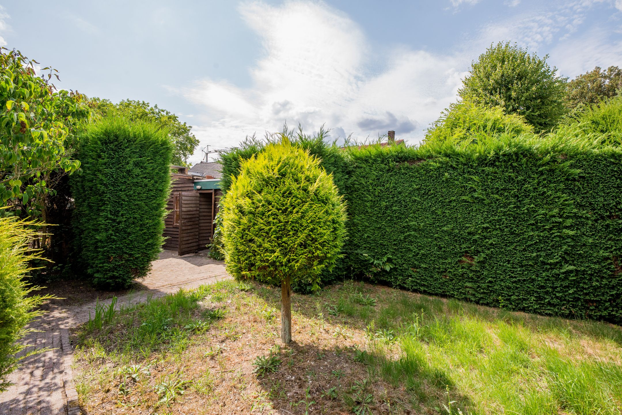 Foto 33 van Arnoldus Janssenstraat 41