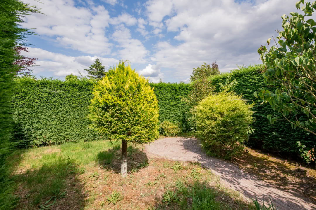 Foto 32 van Arnoldus Janssenstraat 41