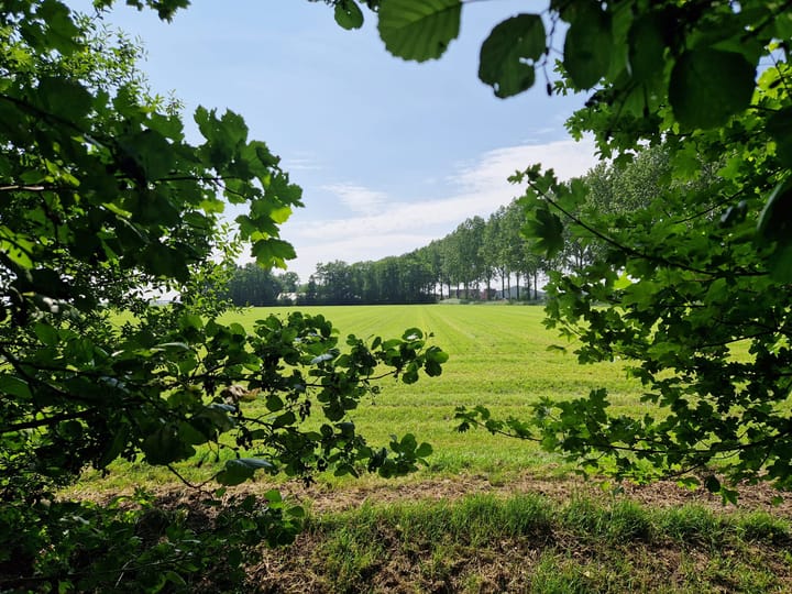 Foto 65 van Zwartemeerweg 12