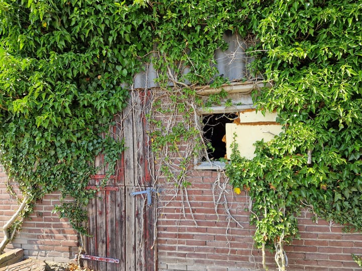 Foto 72 van Zwartemeerweg 12