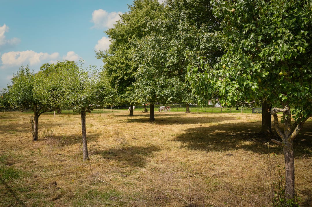 Foto 37 van Rijnstraat 8-D