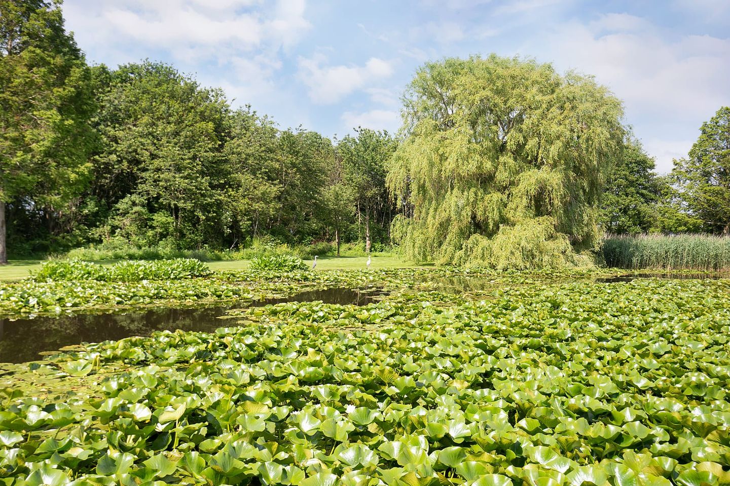 Foto 20 van Stationswei 26