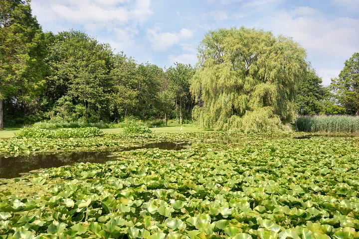 Photo 20 of Stationswei 26