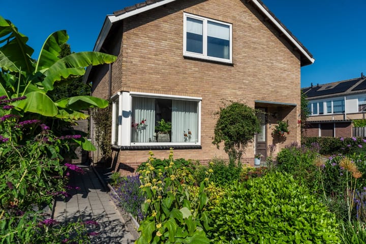 Foto 32 van Jacob Catsstraat 24