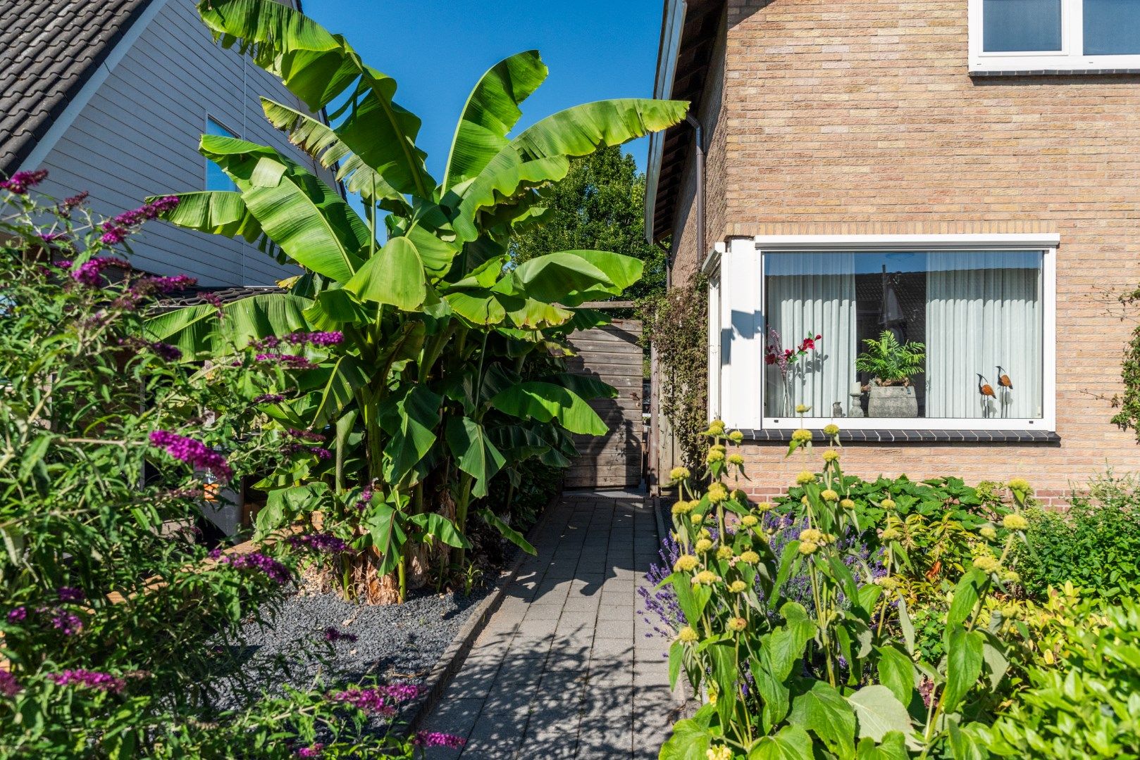 Foto 33 van Jacob Catsstraat 24