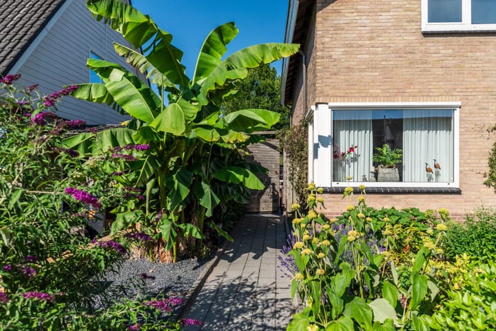 Foto 33 van Jacob Catsstraat 24