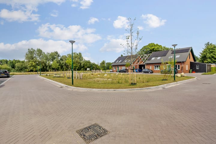 Photo 15 of Baarsakker 17