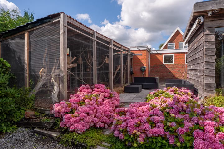 Foto 50 van Burg v Roijenstr Oost 47