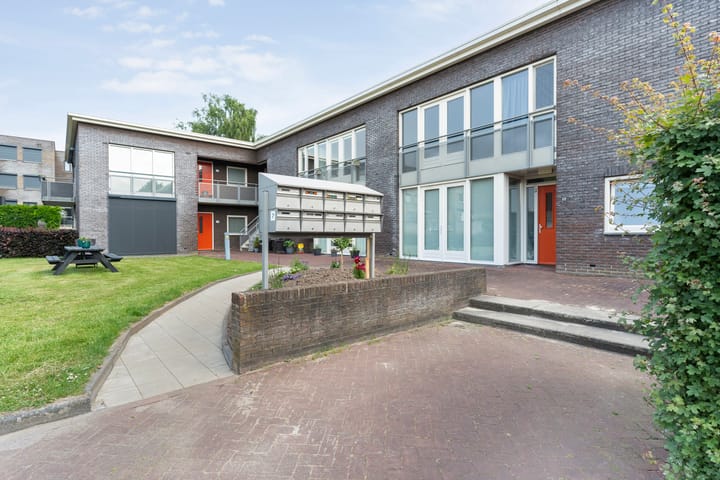 Foto 8 van Puntkroos 58