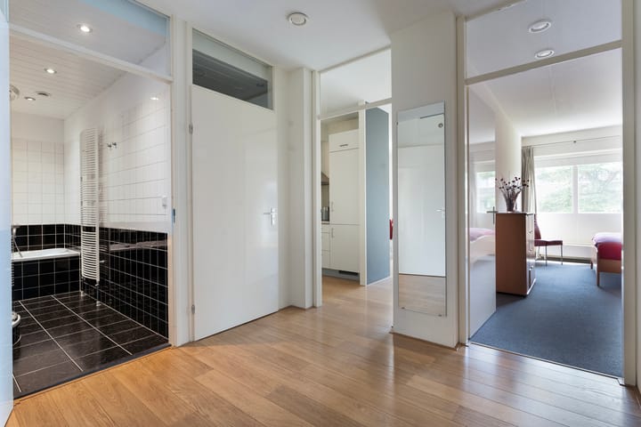 Foto 11 van Puntkroos 58