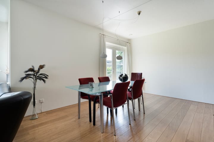 Foto 15 van Puntkroos 58