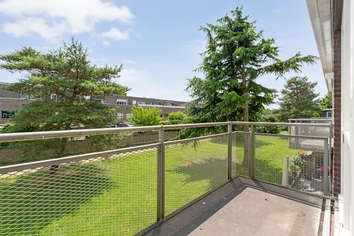 Foto 16 van Puntkroos 58