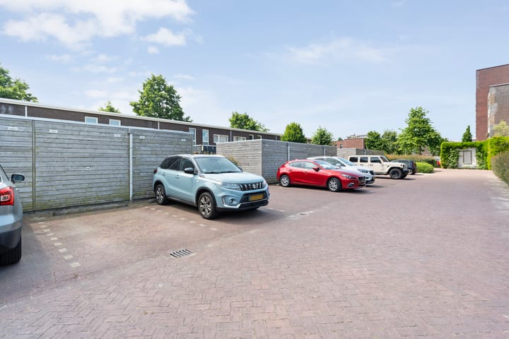 Foto 37 van Puntkroos 58