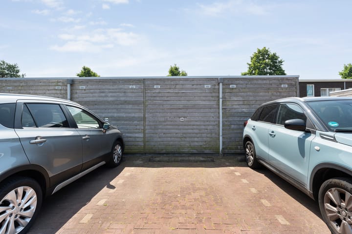 Foto 38 van Puntkroos 58