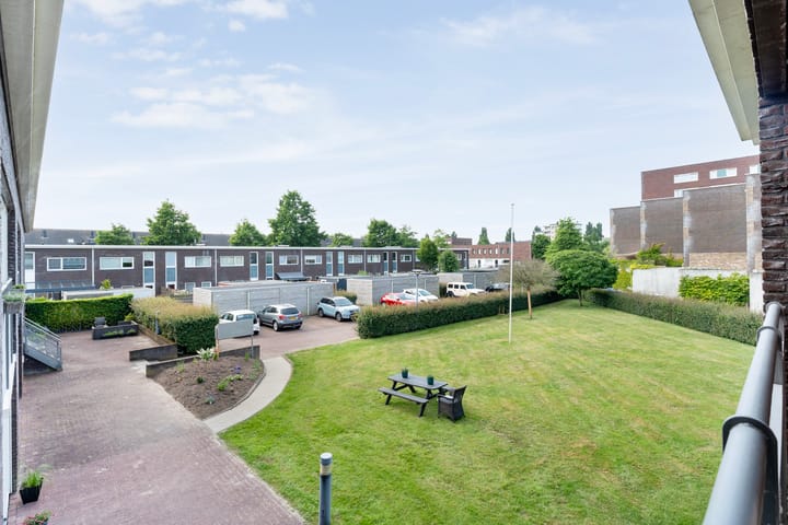 Foto 9 van Puntkroos 58