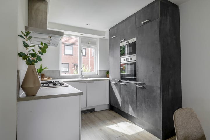 Foto 2 van Steenbok 13