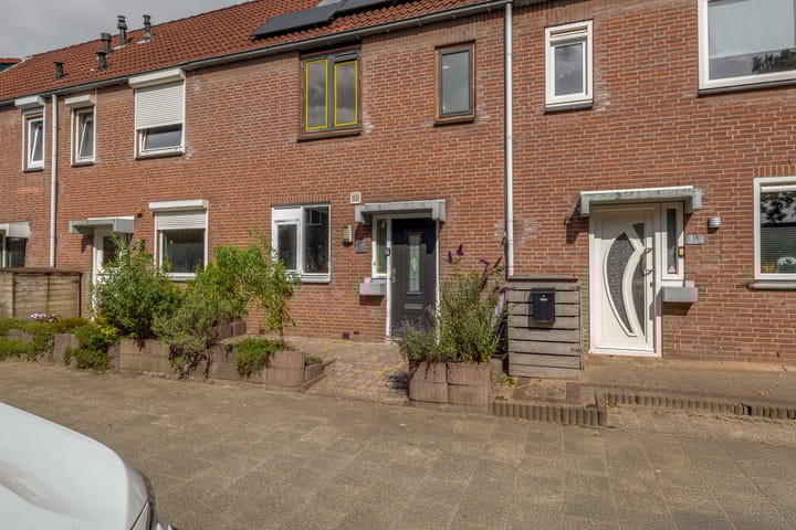 Foto 4 van Steenbok 13