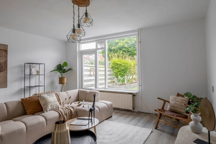 Foto 8 van Steenbok 13