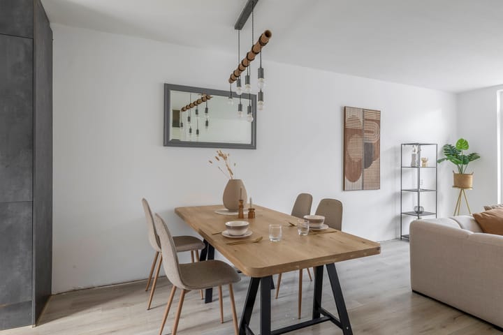 Foto 12 van Steenbok 13