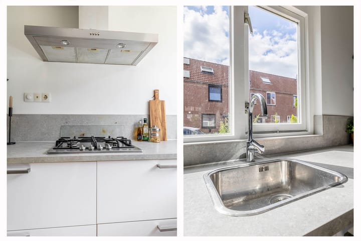 Foto 15 van Steenbok 13