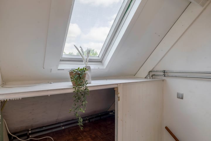 Foto 30 van Steenbok 13