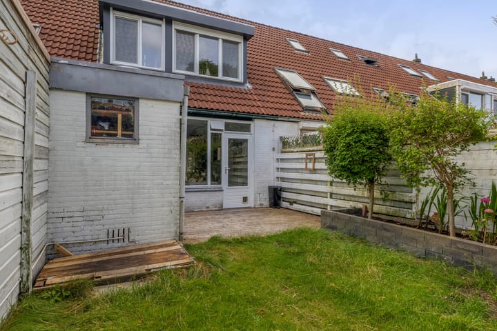 Foto 35 van Steenbok 13