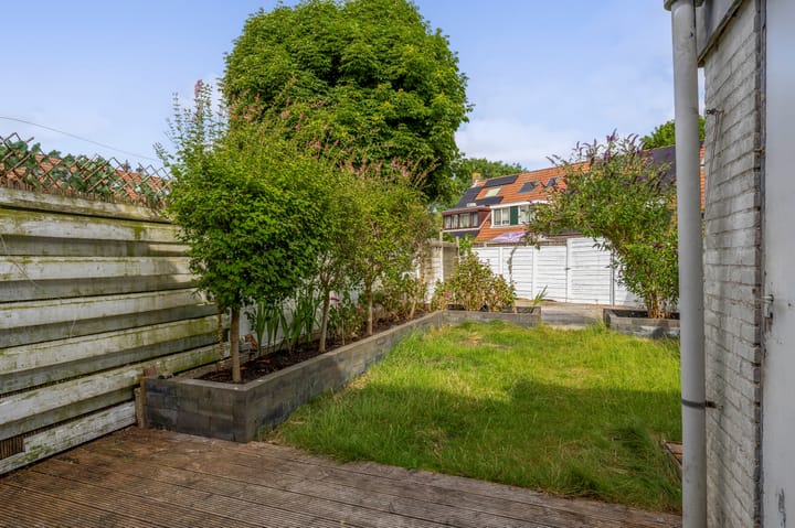 Foto 36 van Steenbok 13