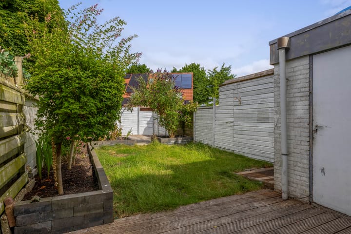 Foto 37 van Steenbok 13