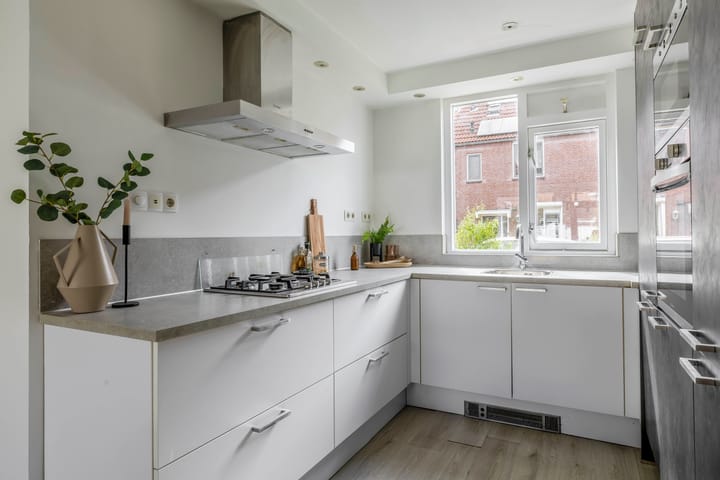 Foto 14 van Steenbok 13