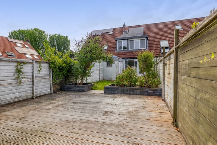 Foto 38 van Steenbok 13