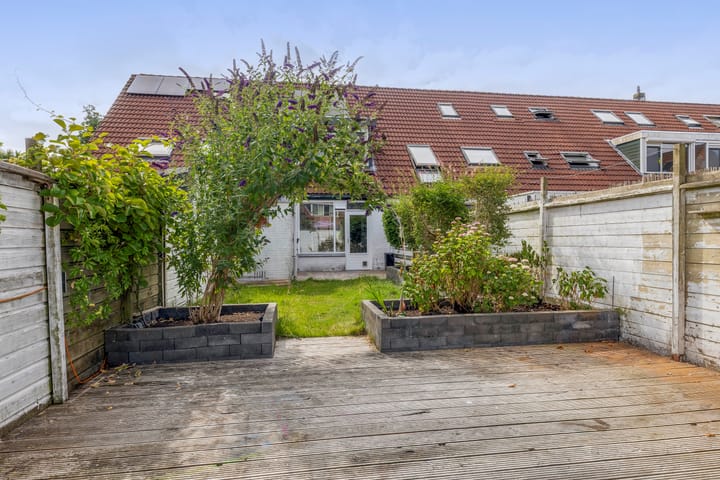 Foto 39 van Steenbok 13