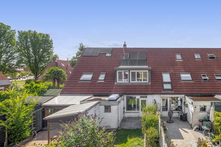 Foto 40 van Steenbok 13