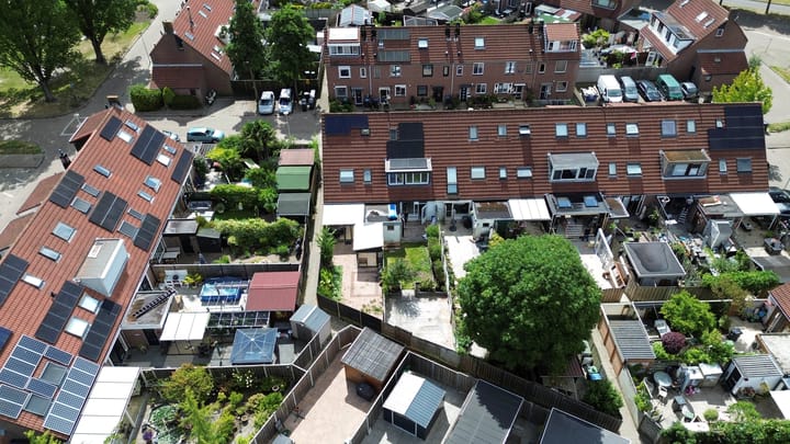 Foto 42 van Steenbok 13