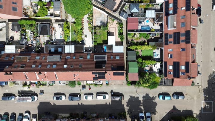 Foto 43 van Steenbok 13