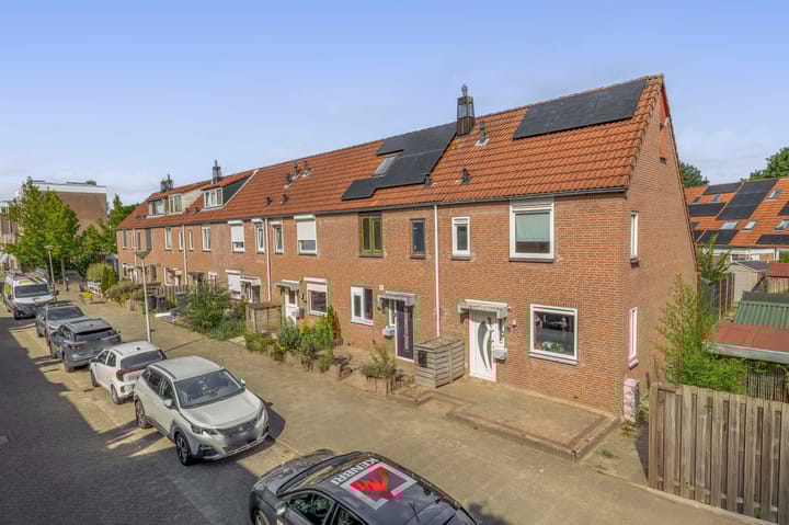 Foto 49 van Steenbok 13