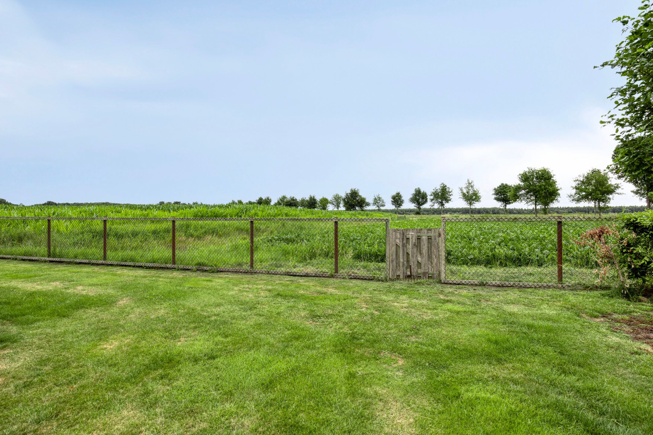 Foto 33 van Oude Dordsedijk 47