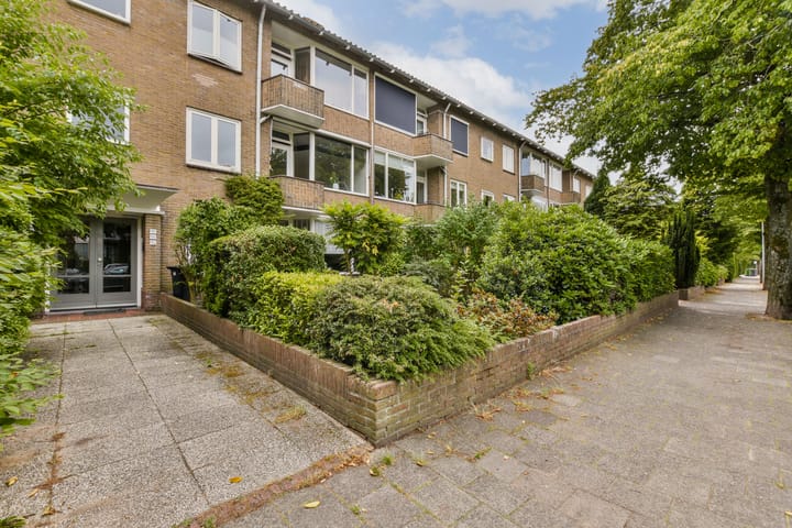 Photo 20 of Admiraal de Ruyterlaan 155