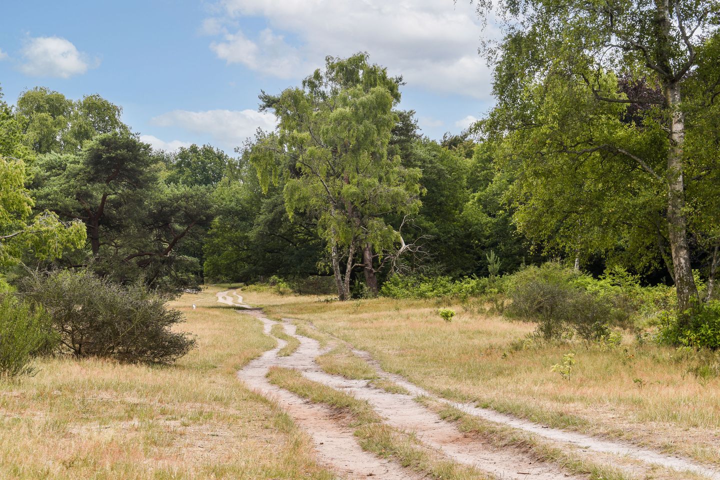 Foto 25 van Admiraal de Ruyterlaan 155