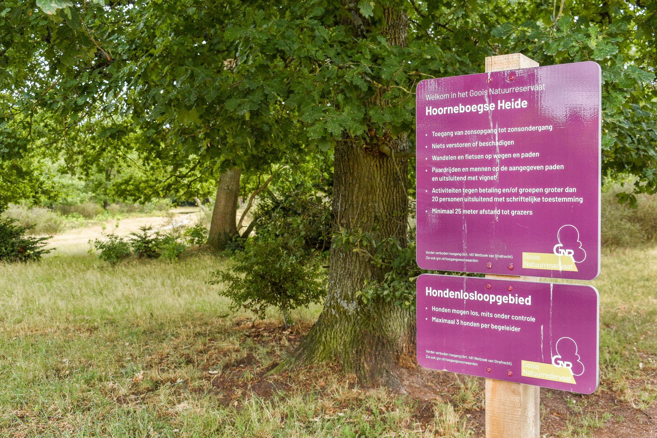 Foto 27 van Admiraal de Ruyterlaan 171