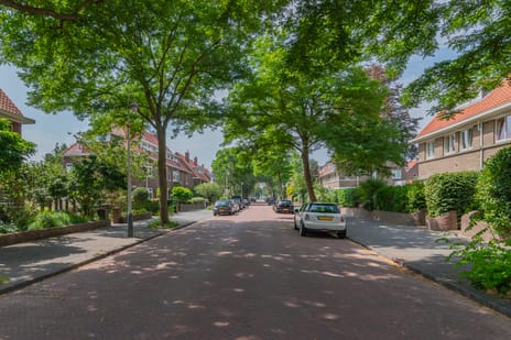 Kraaienlaan 5 tertiary image