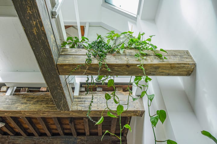 Foto 44 van Voorstraat 92